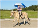 Gelassenheitstraining: Reiterin mit Schirm auf Fjordpferd 
