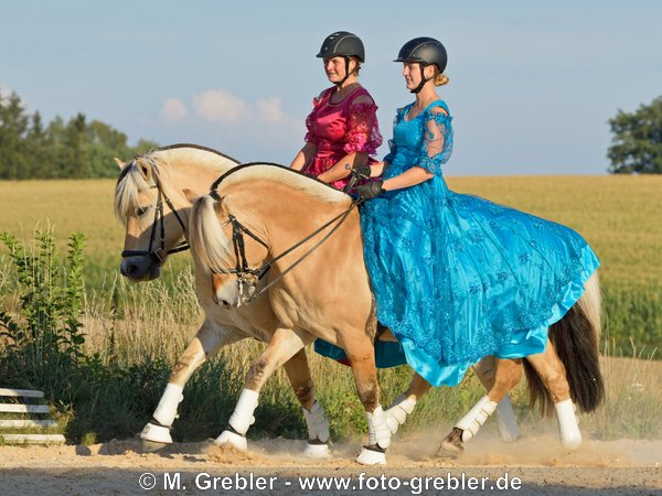 Pas de Deux mit Fjordpferden im Kleid 