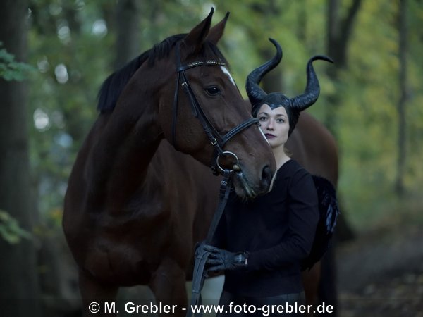 Pferd und Reiterin zu Halloween 