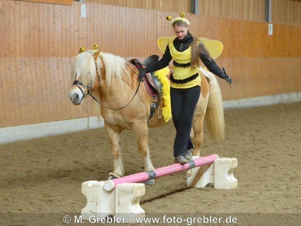 Faschingsreiten, Kostümreiten, Geschicklichkeitsreiten