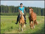 Reiterin auf Haflinger im Trab mit Warmblutpferd als Handpferd 