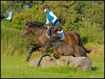 Reiterin auf Deutschem Reitpony mit Minishetty als Handpferd springt über einen Baumstamm 