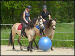 Fußball spielen mit Connemara Pony 