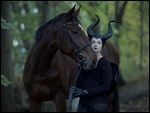 Pferd und Reiterin zu Halloween 