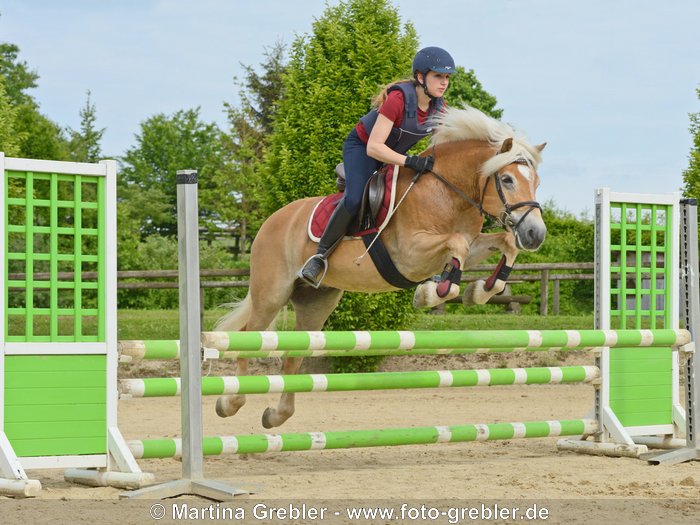 Junge Reiterin mit Sicherheitweste auf Haflinger springt über einen Oxer  | Young rider wearing a body protector on Haflinger horse jumping over an oxer
