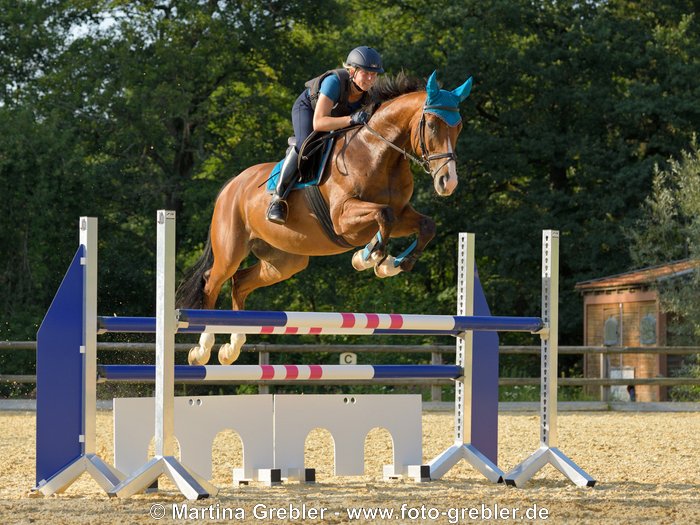 Reiterin mit Sicherheitsweste auf Bayerischem Warmblut beim Springen 