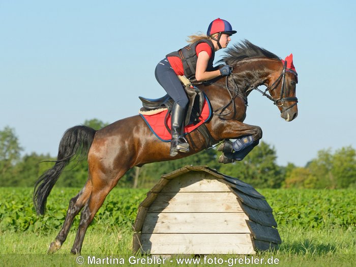 Reiterin auf Reitpony bei Geländetraining 