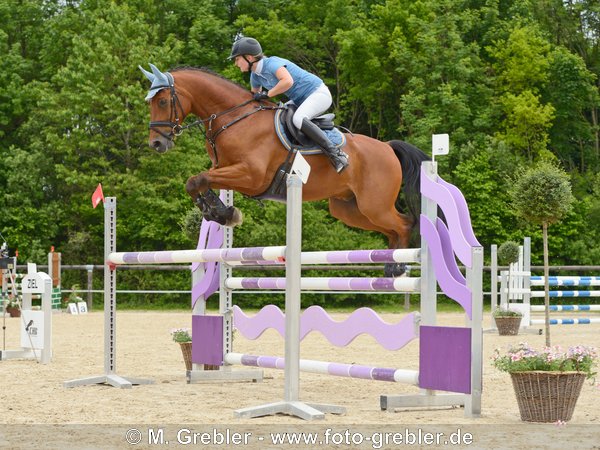 Reiterin auf Bayerischem Warmblut beim Sprung über einen Oxer 