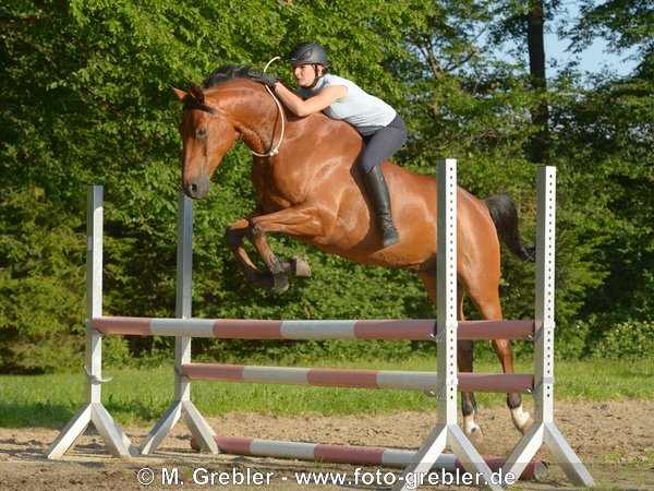 Springen ohne Sattel nur mit Halsring 