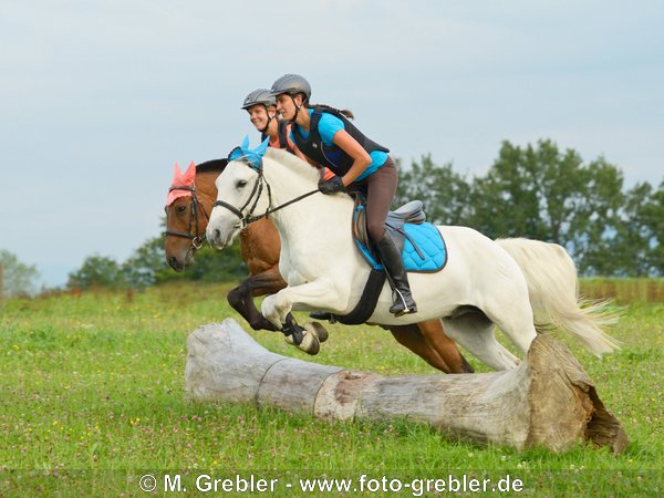 Zwei Reiterinnen auf Ponys springen gleichzeitig über einen Baumstamm 