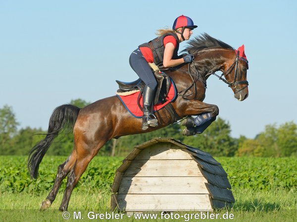 Reiterin auf Reitpony bei Geländetraining 