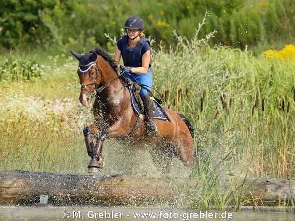 Reiterin auf Pony springt über ein Geländehindernis im Wasser 