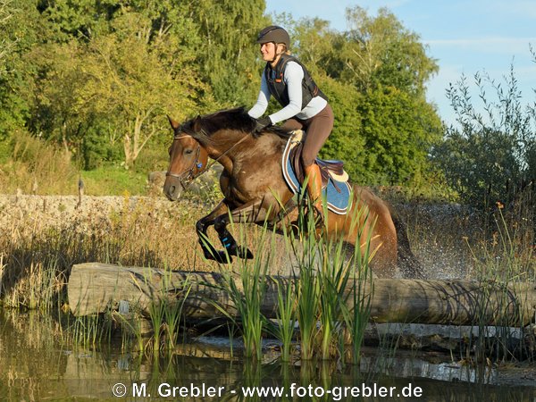 Reiterin auf Deutschem Reitpony springt Ã¼ber einen Baumstamm im Wasser