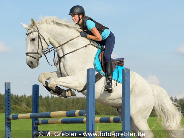 Reiterin mit Sicherheitsweste auf Bayerischem Warmblut beim Springen 