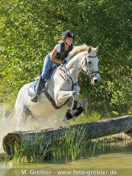 Reiterin beim Geländetraining auf Bayerischem Warmblut, Sprung im Wasser 