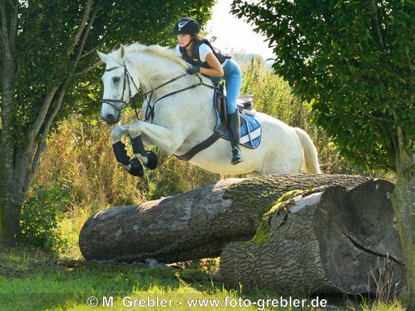 Reiterin beim Geländetraining auf Bayerischem Warmblut 