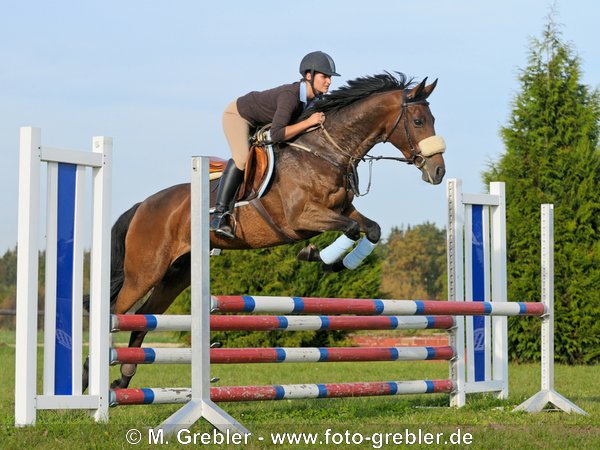 Junge Springreiterin auf Chilenischer Warmblut Stute beim Sprung über einen Ochser 