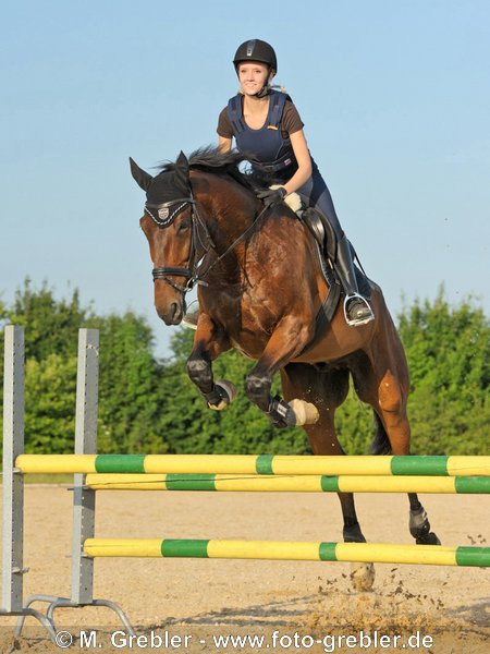 15-jährige Reiterin (mit Sicherheitsweste) auf Bayerischem Warmblut beim Sprung über einen Oxer 