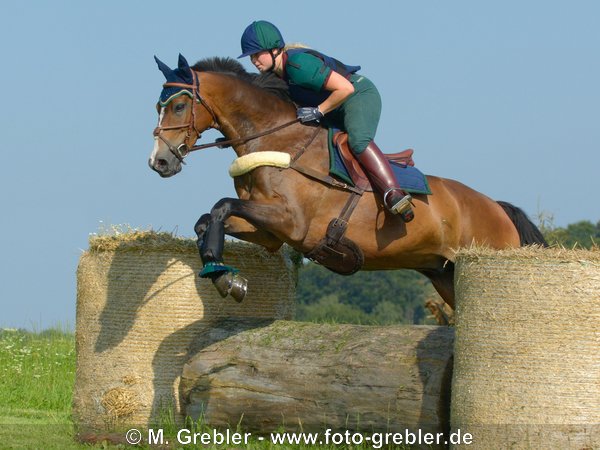 Reiterin auf Bayerischem Warmblut beim Geländespringen 