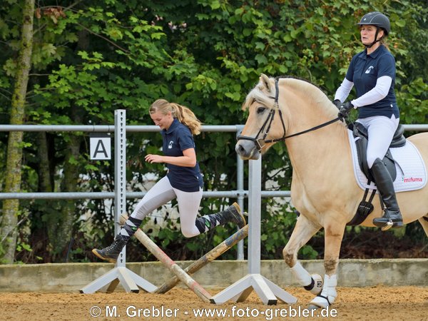 Jump and Run mit Fjordpferd