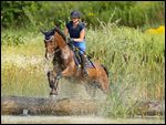 Reiterin auf Pony springt Ã¼ber ein GelÃ¤ndehindernis im Wasser 