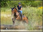 Reiterin auf Pony springt über ein Geländehindernis im Wasser 