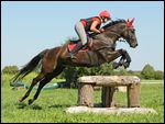 Geländetraining mit Trakehner 