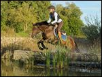 Reiterin auf Deutschem Reitpony springt über einen Baumstamm im Wasser