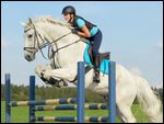 Reiterin mit Sicherheitsweste auf Bayerischem Warmblut beim Springen 