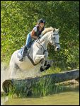 Reiterin beim Geländetraining auf Bayerischem Warmblut, Sprung im Wasser 