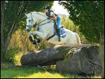 Reiterin beim Geländetraining auf Bayerischem Warmblut 