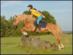 Junge Reiterin auf Haflinger mit Halsring springt über einen Baumstamm 