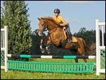 Jugendliche Reiterin beim Springen mit Deutschem Reitpony 