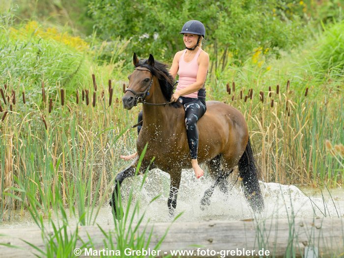 Reiterin mit Leggings reitet ohne Sattel auf einem Deutschen Reitpony im Wasser 