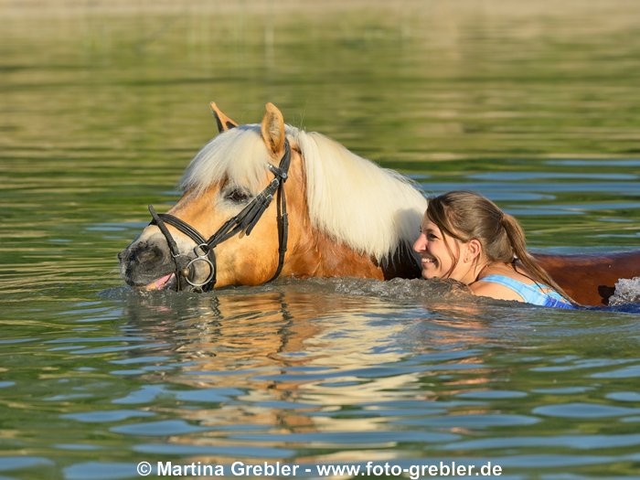 Frau mit Haflinger beim Baden im See 
