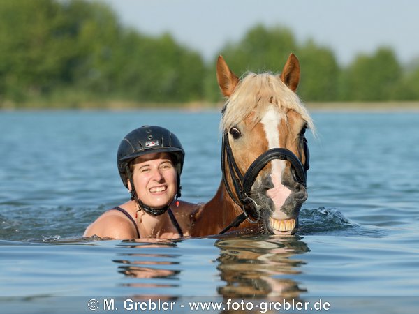 Frau mit Haflinger beim Schwimmen 