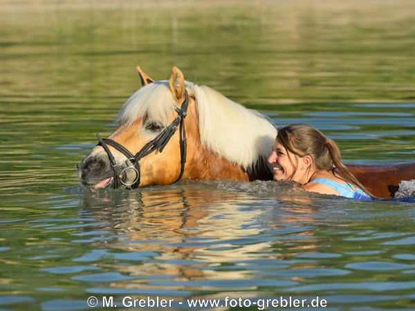 Frau mit Haflinger beim Baden im See 