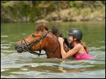 Schwimmen mit Pony 