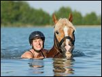 Frau mit Haflinger beim Schwimmen 