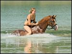 Junge Frau auf einem Deutschen Reitpony in einem See 