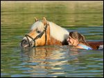 Frau mit Haflinger beim Baden im See 