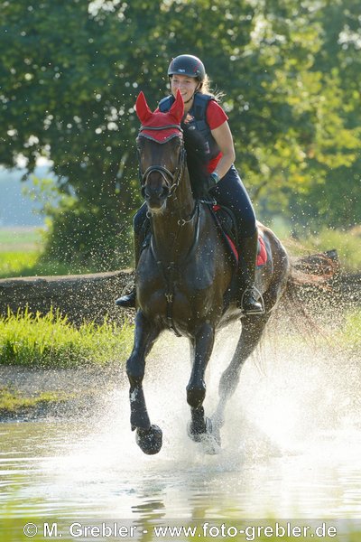 Reiterin auf Hannoveraner Stute beim Geländetraining, Galopp im Wasser 