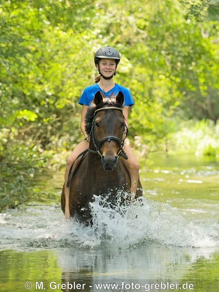 12-jährige Reiterin auf Deutschem Reitpony reitet ohne Sattel in einem Bach 