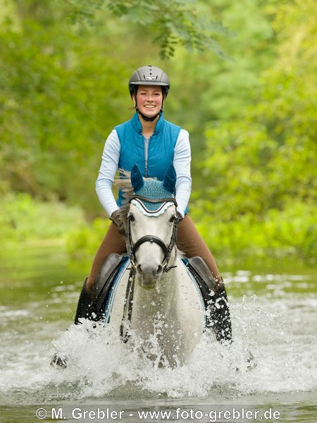 Junge Reiterin auf Deutschem Reitpony reitet in einem kleinen Fluss 