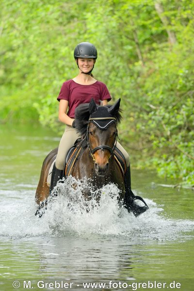 Mädchen auf Deutschem Reitpony trab in einem Bach 