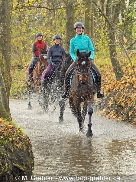 Drei Reiterinnen im Herbst in einem Bach 