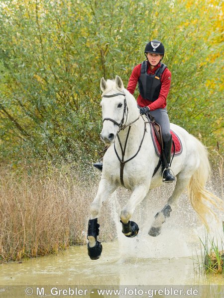Reiterin mit Sicherheitsweste auf Bayerischem Warmblut galoppiert durch Wasser auf einer Geländestrecke 