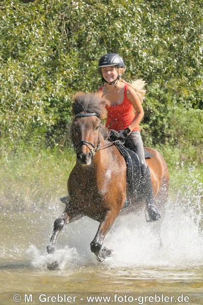 Jugendliche Reiterin auf Isländer galoppiert in der Isar südlich von München, Bayern, Deutschland 
