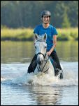 Reiterin auf Connemara Pony reitet in einem See 