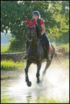 Reiterin auf Hannoveraner Stute beim Geländetraining, Galopp im Wasser 